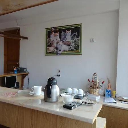 Guest Grachenovi بانسكو