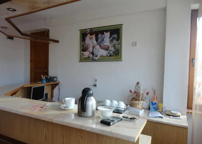 Guest Grachenovi 반스코